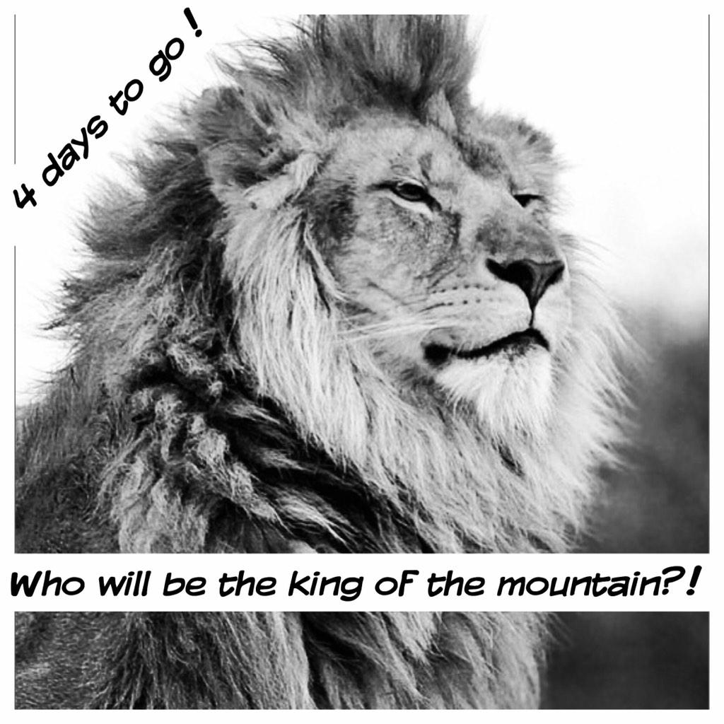 mirabellarun's tweet photo. Four days to go... #pumped http://t.co/CoIdpQbB2K