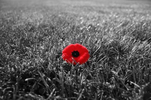votefellini's tweet photo. On this 11th day,the 11th hour, remember all soliders who fought/died for our country. #LestWeForget #NeLesOubliezPas http://t.co/zxoXbrHaiJ