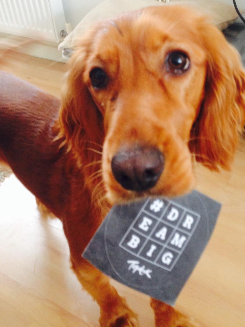 Topdeck_Tony's tweet image. Even little people can #dreambig, hmmm a hint for a holiday. @KtotheC8 @tatekerry @TopdeckRach