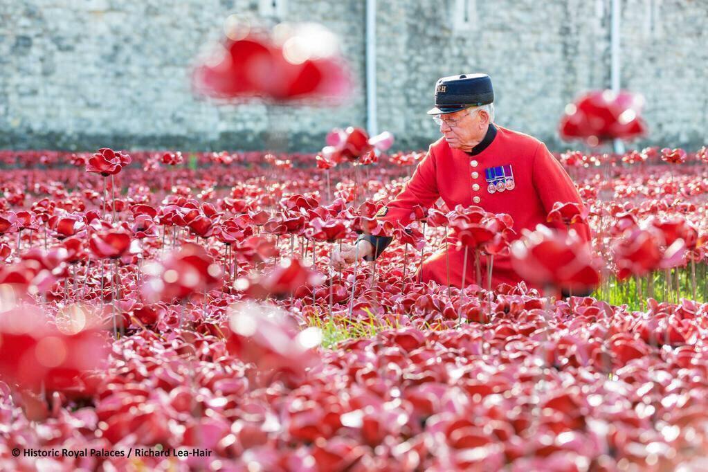 At the 11th hour of the 11th day of the 11th month, we will remember them. #LestWeForget