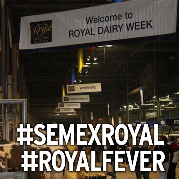 SemexEmbryos's tweet photo. Welcome to the Royal dairy exhibitors! @RAWFagriculture @RAWF #royalfever #semexroyal http://t.co/KaKZTH5nVg