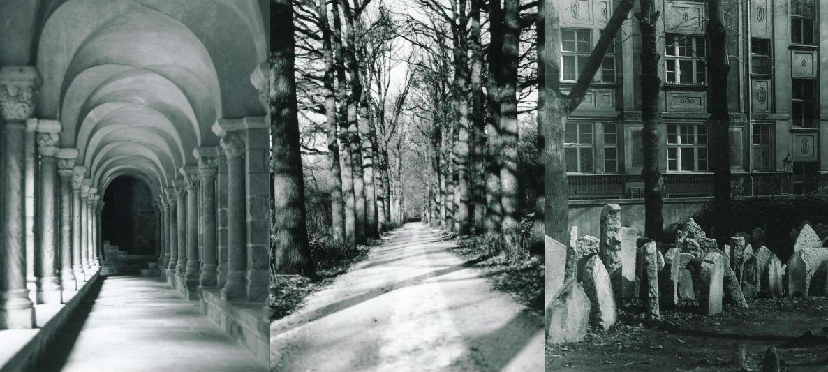 Elke 2 weken een interview met een bijzondere kunstenaar. Check @metruudsmit over #fotografie bit.ly/1xpfjlN