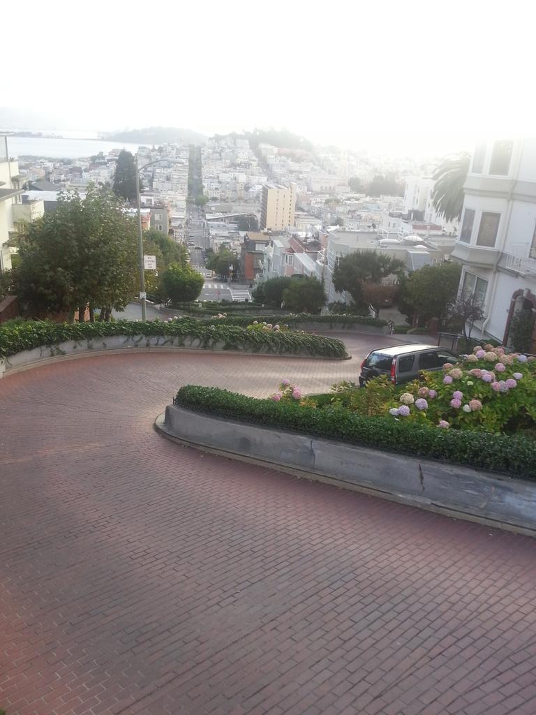 HillaryQuirk's tweet photo. The windey road of entrepreneurship. Think I see a few pivots in there. @LombardSt #neverstopSF http://t.co/xAYUYoDah0