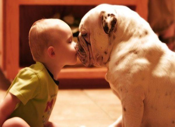 bulldogsclublen's tweet photo. Ama los animales, ama la vida #losperrosnosonproductos http://t.co/xXwh8Vq4Qa