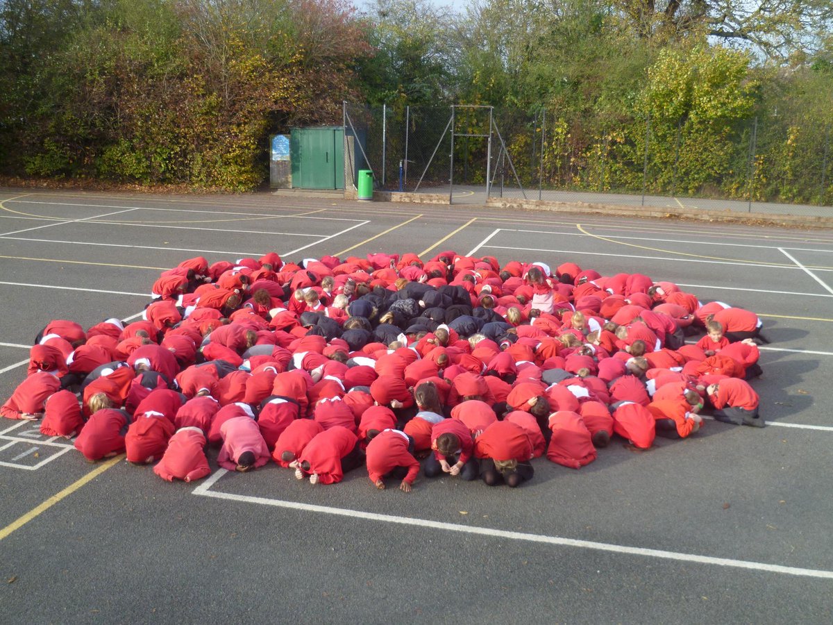 JournoDevs's tweet photo. Love this! Children from Green Park School in Newport Pagnell create giant human poppy to mark centenary of Great War http://t.co/3GoKqFFJSu