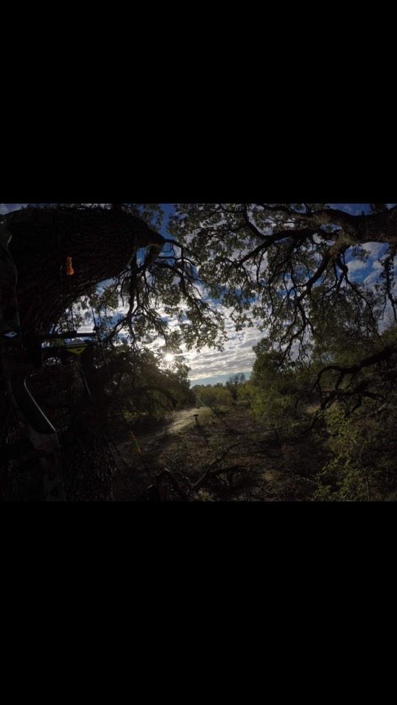 tlingg53's tweet photo. I love my gopro😍 #bowstand http://t.co/SohAfxO0tZ