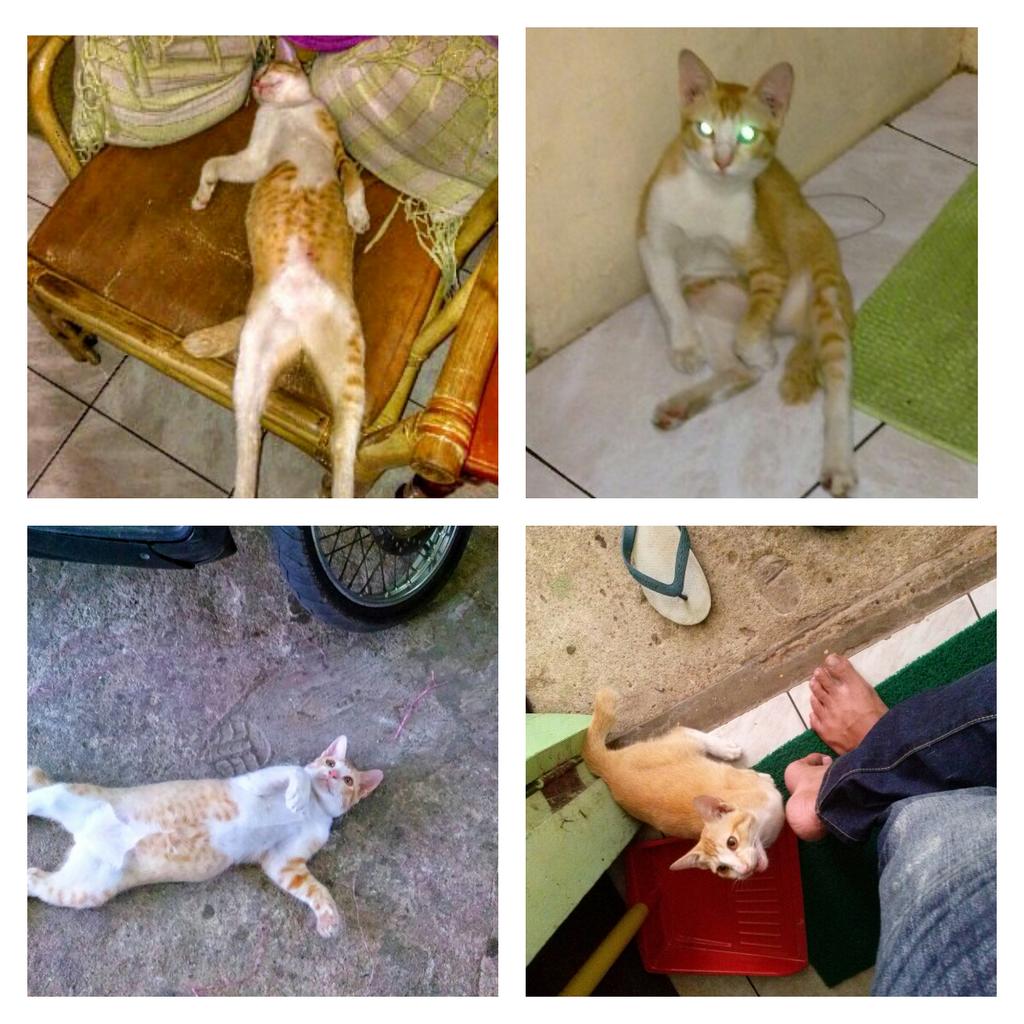p_hamied's tweet photo. Long time no see http://t.co/CPPLvl1TP9