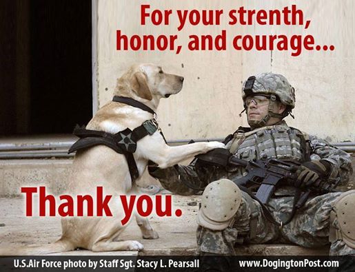 Wishing all our veterans, past, present, and future, a warm and happy #VeteransDay! Thank you!