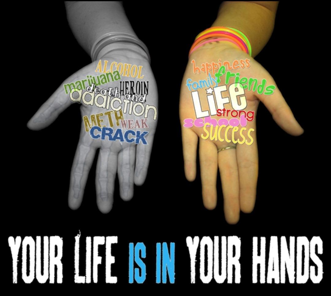 sernellyy's tweet photo. SER wants to help you choose the right path in life! #VoteSER &amp; be a better you! #DrugFree #OrganelleVote2014 http://t.co/dE1nNdRoSf