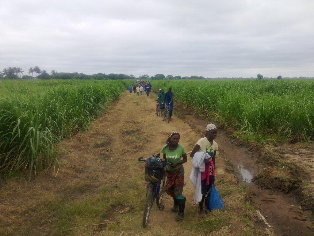 AfricanConserve's tweet photo. SHOCKING: #Elephants shot in #Xinavane by #Mozambican police - slaughtered for their meat https://t.co/1W443oLVSt http://t.co/Pu2snqlLi9