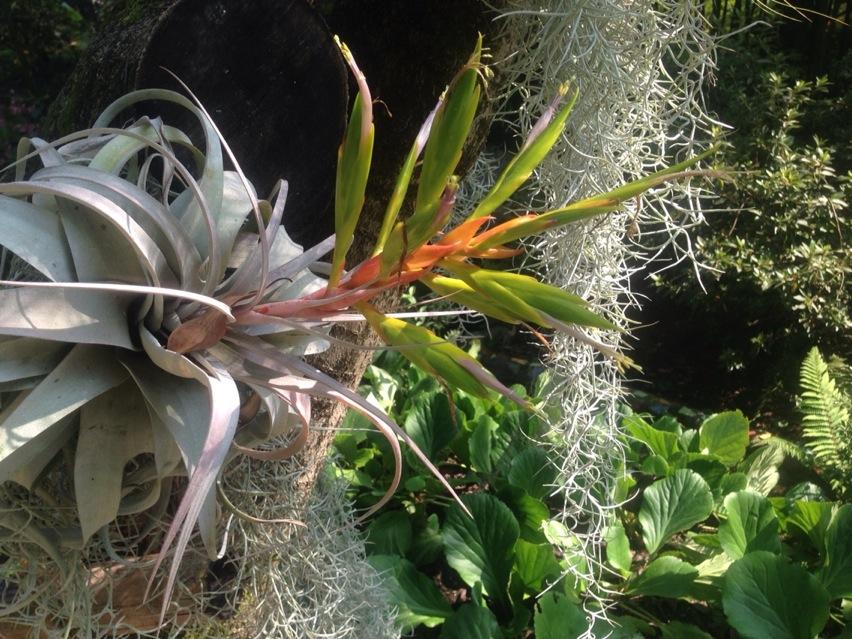 Open_Yoga's tweet image. Great #forrestyoga tonight @SuzanneLeechFL @catbeaumont @Jones27Chris @BlushDanceUK +lovely others,#standingposes xx