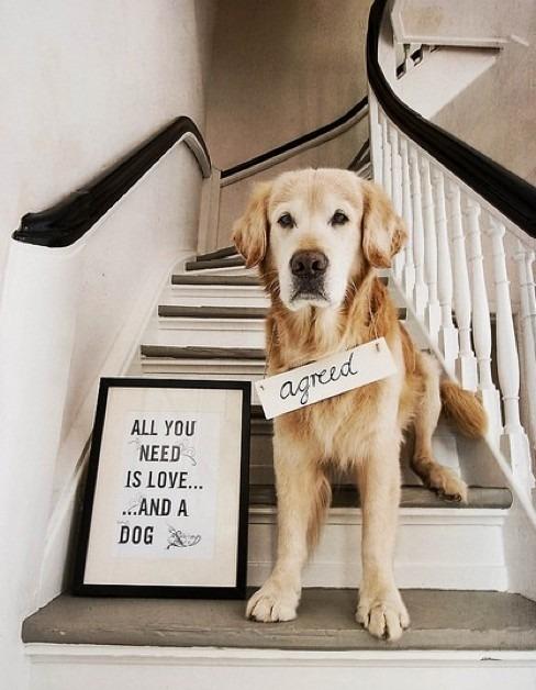 Southern_Blog's tweet photo. How #adorable is this?? http://t.co/eA9gI54k8b