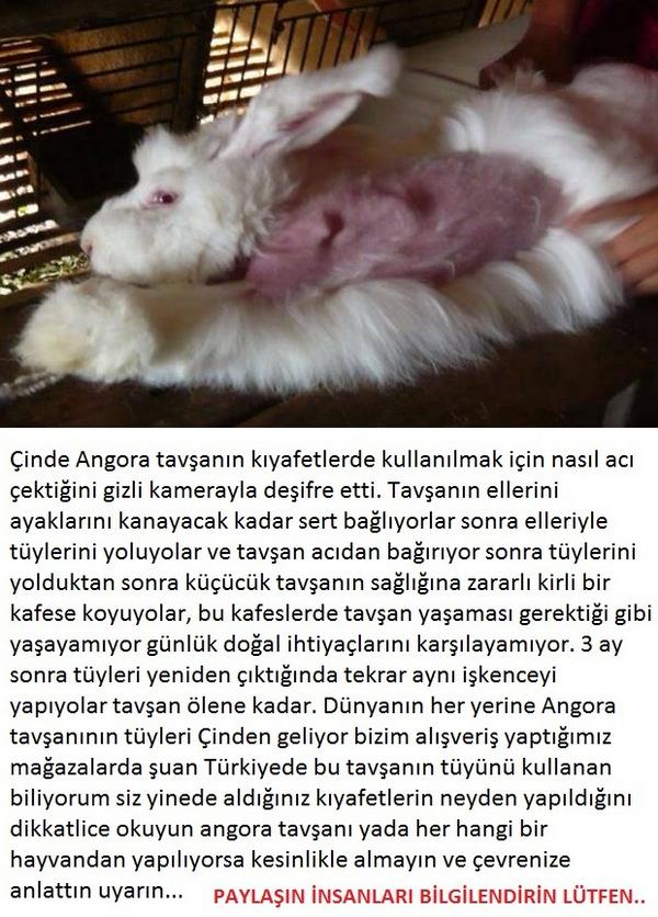 TuhafAmaGercek's tweet photo. Kürk almayın, vahşete ortak olmayın. http://t.co/3dy1tMrVM2