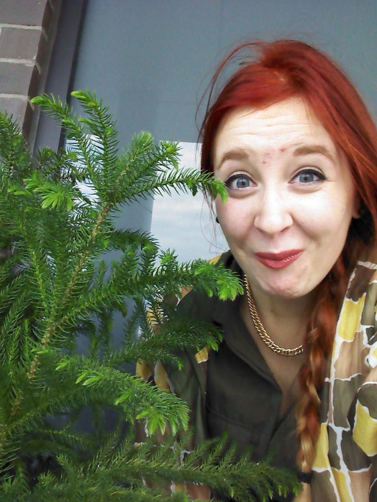 jill_marenger's tweet photo. just impulse bought a little Christmas tree & it makes me SO EXCITED #soderp #sohappy #cutestchristmas @LauraaCeeee http://t.co/L4bWS3HDGK