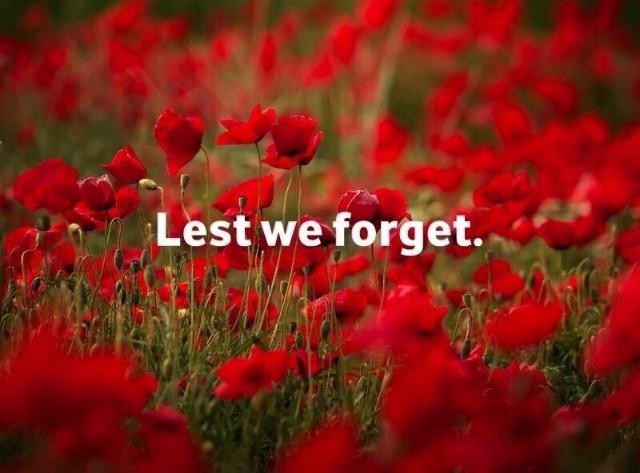 TamaraScheme's tweet photo. Remembering all the brave men and women who gave their lives to better ours. Thank you &amp; bless you. #LestWeForget http://t.co/JlhF8OWM19
