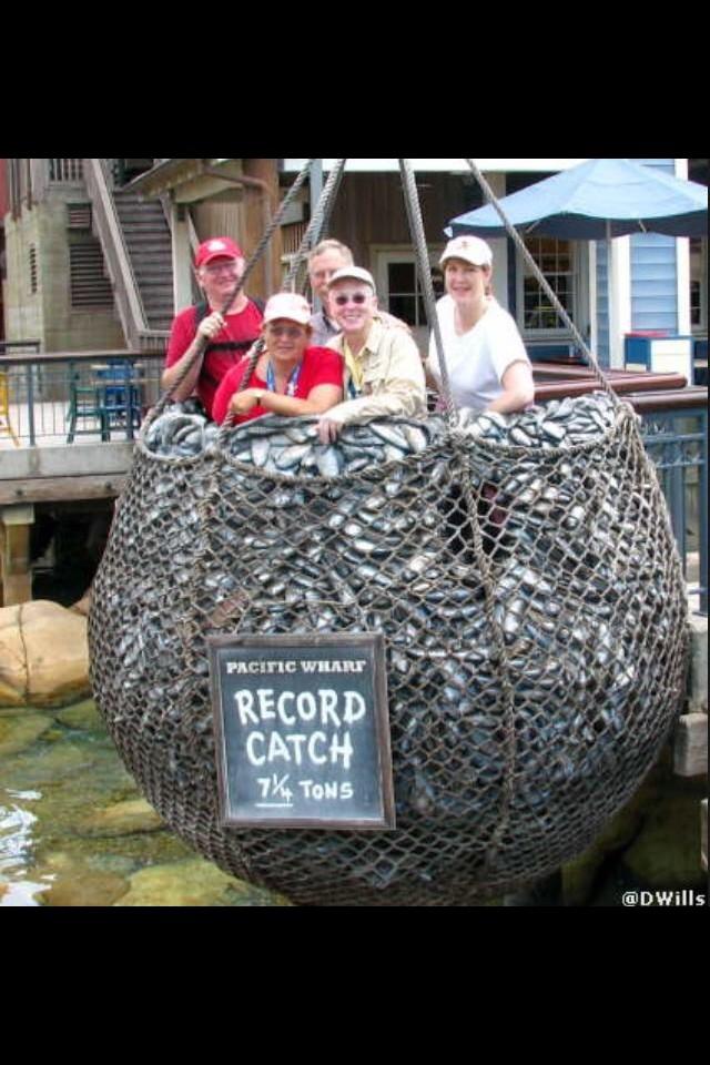 KitsOnHangers's tweet photo. @fahy_tim Plenty of Fish in the Sea .... Lots of French Advertising 😂😂😂 http://t.co/Pjw0jrPWsW