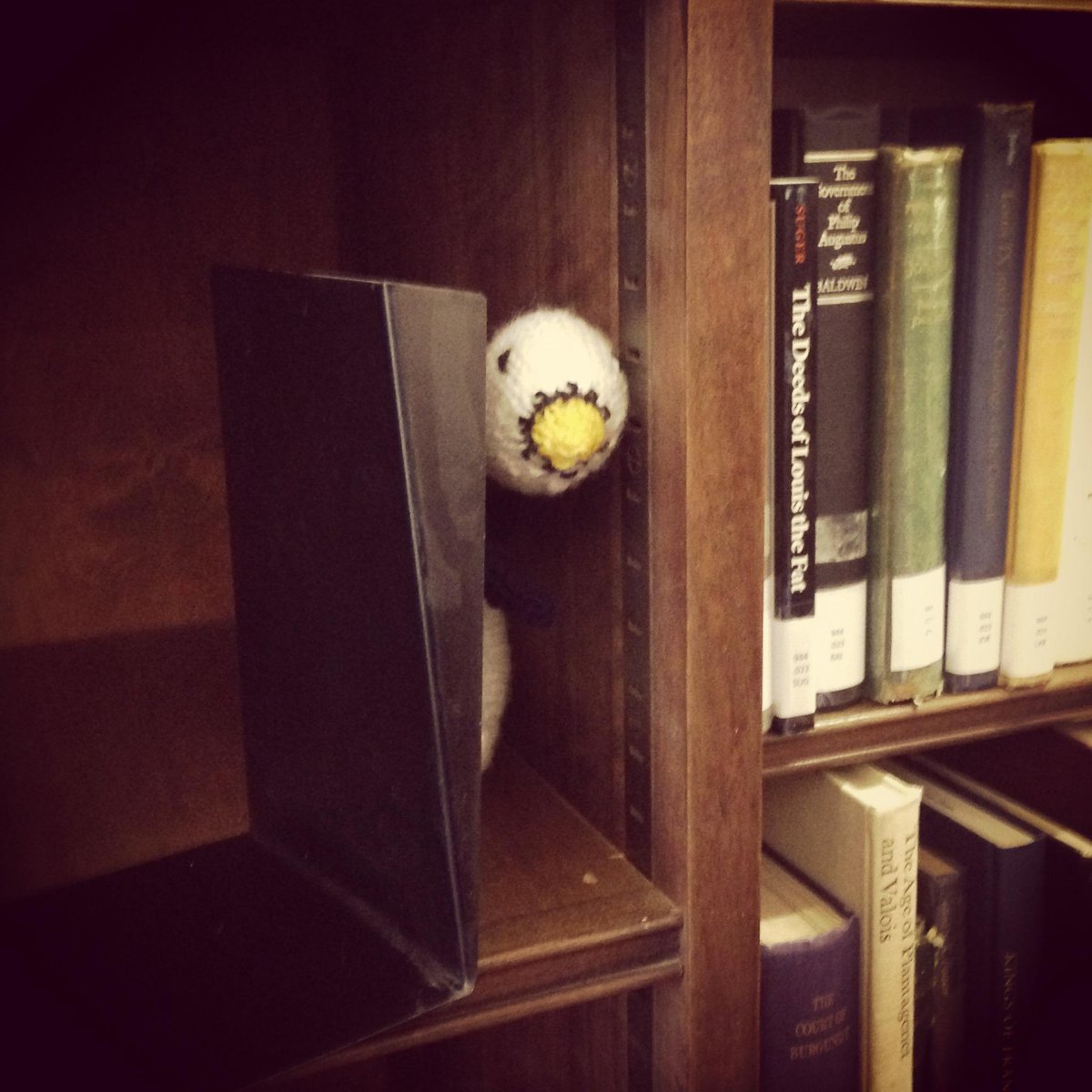 StHughsLibrary's tweet image. Time for your next dose of Hughie and Dewey! #FifthWeekBlues #LibraryMascots #TuesdayCheer