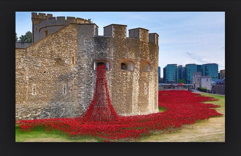 Such an incredible tribute for those who fought for our freedom... Tower of London poppy installation #RemberanceDay