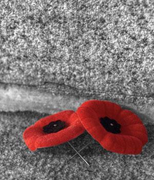 quickfitbinders's tweet photo. Lest we forget. http://t.co/bceCULG54c