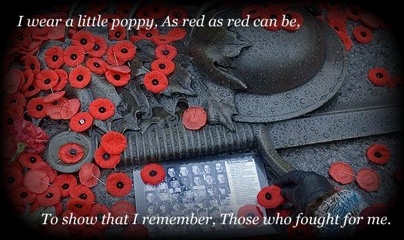 Remembering the fallen…Never to be forgotten. #Happyremembranceday