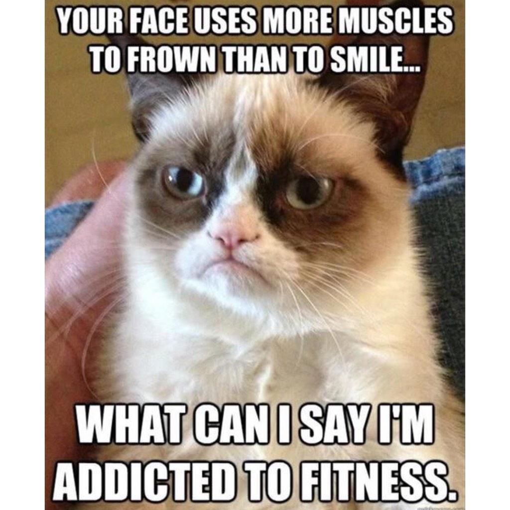 lovesweatandfit's tweet image. Smile! It&apos;s time to give your face a #restday 💕 #fithumor #funny #love #smile #fitspo #fitfam