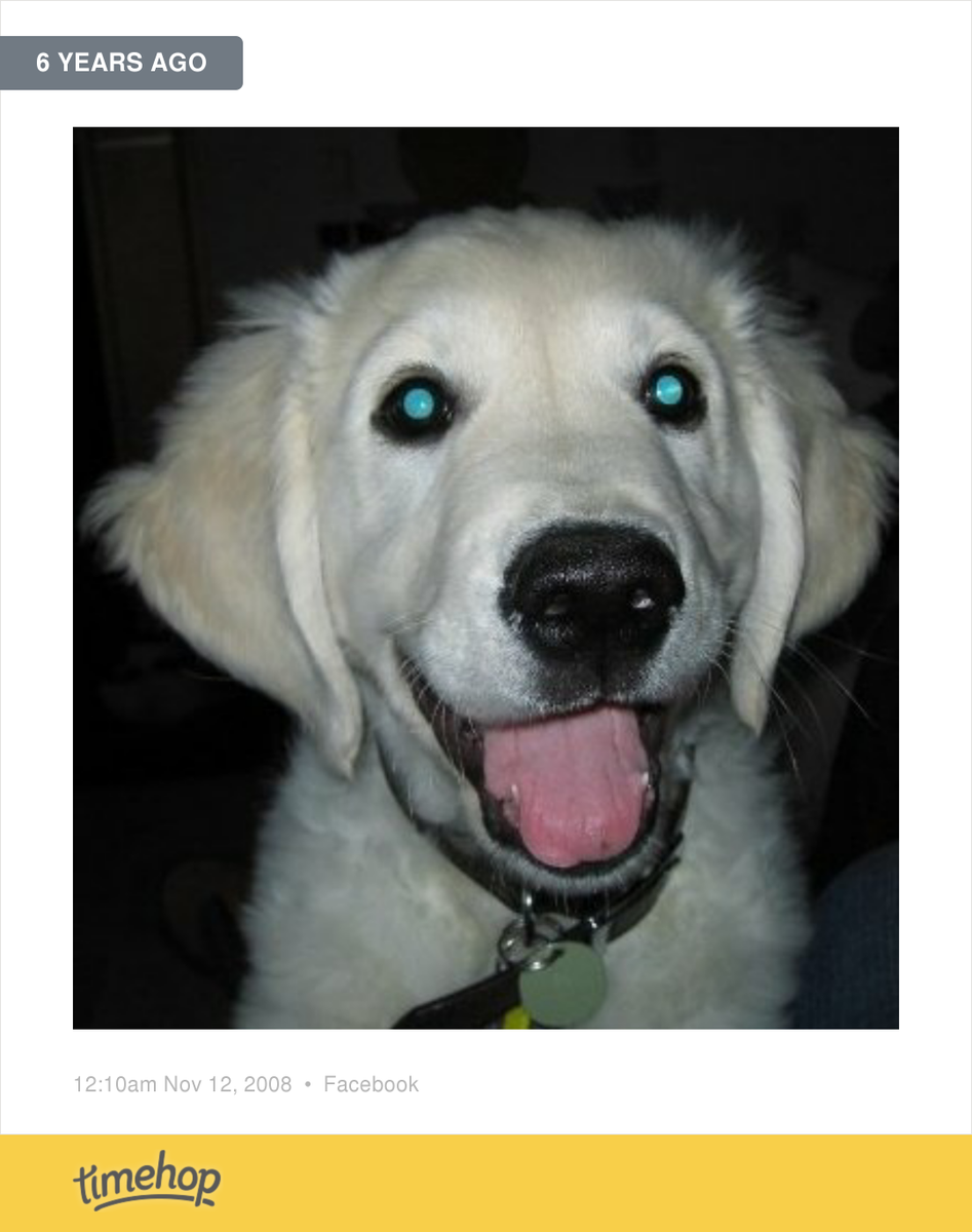 Not quite this cute any more but still gorgeous!  timehop.com/c/fup:93335810…