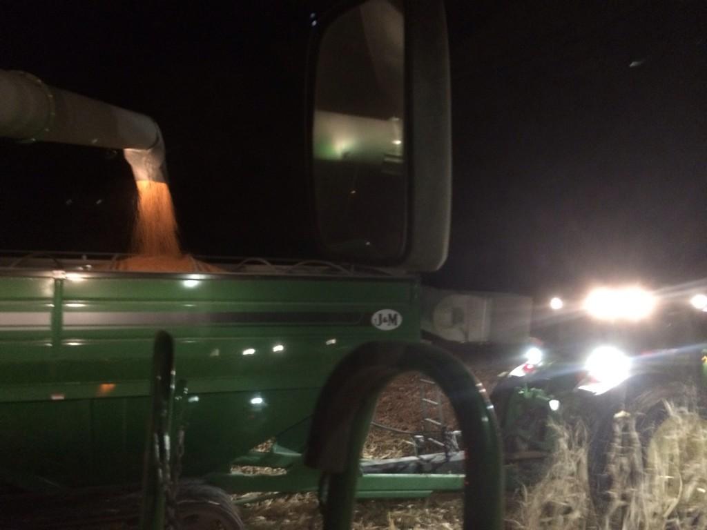 kylealbertson9's tweet photo. @farmerpicsnew just picking corn last night #KretzmeierFarns #harvest14 http://t.co/hJcimxcQJx