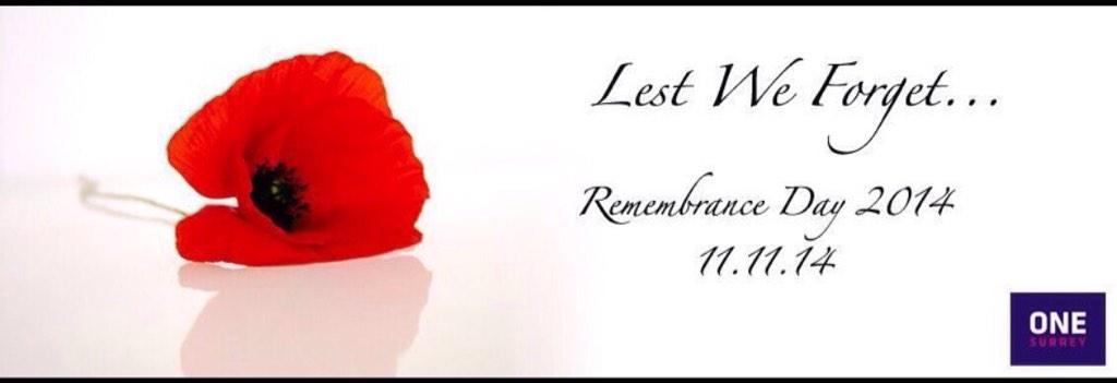 YoungOneSurrey's tweet photo. #OneSurrey @BarinderRasode @Kal_Dosanjh @MervBayda @DarleneBowyer @mazartang @bose_mike @narimadc Lest we Forget http://t.co/zWIFDlicL7