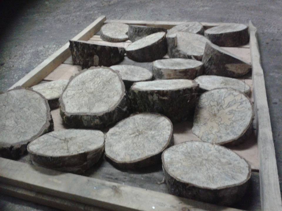 Dit de Treegarden van <a href="/Buitensport038/">Buitensport Zwolle</a> en is één van de vele obstakels van de #Bike #Challenge van aanstaande zaterdag