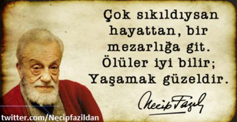 iman_yolu's tweet photo. http://t.co/cVICAnZoS7
