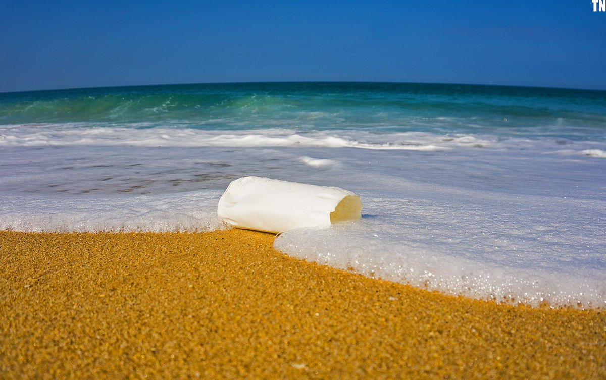 HotSwell's tweet photo. See Tim Nunn's worldwide mission to expose the spread of plastic rubbish. #timnunn #hotswell
http://t.co/UWsT5GnaC8 http://t.co/qrB3EZeIAW