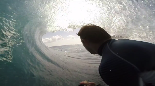 surfline tweet picture