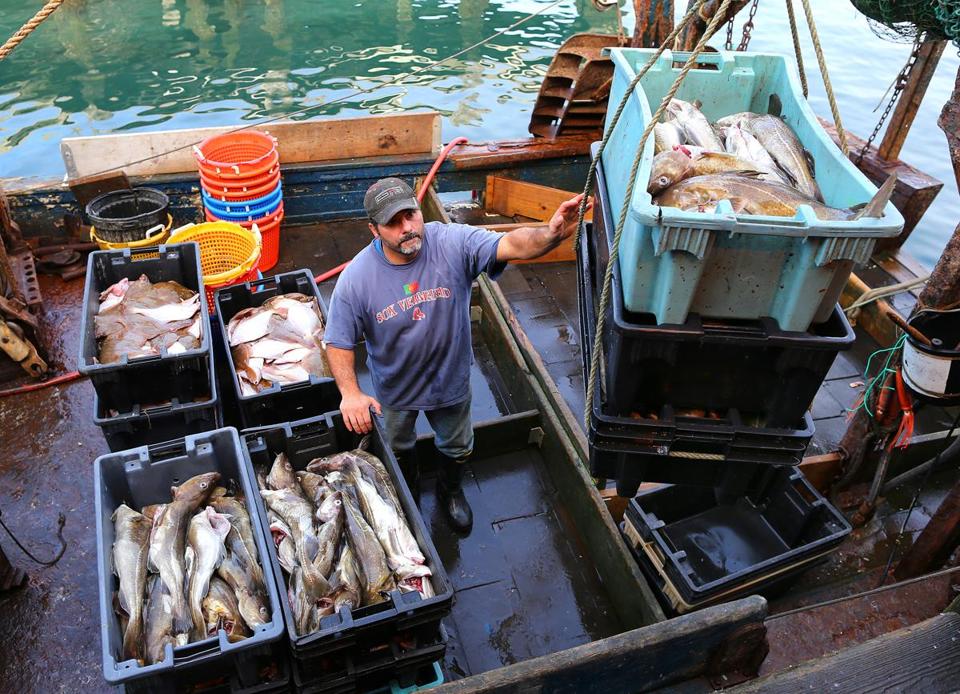 BostonGlobe's tweet photo. “Luckily, I got it all in before they abruptly closed it,” fisherman said of cod catch  http://t.co/QCy9UxOTcV http://t.co/TMgMimDrP7