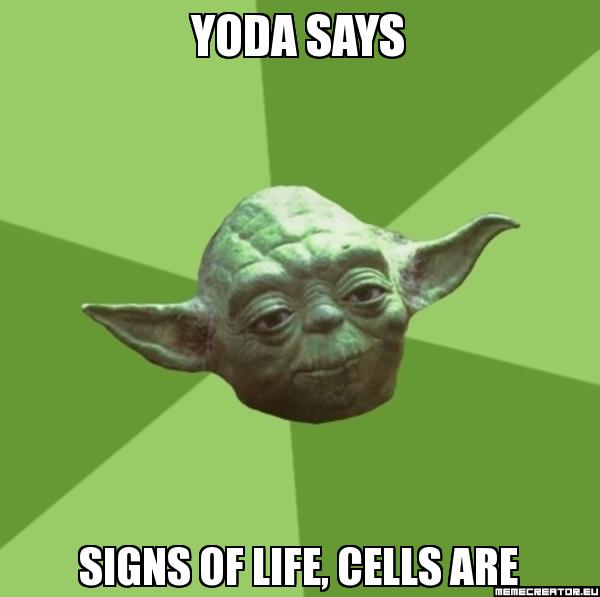 msnataliabeth's tweet image. Another cell theory slogan meme! Stay tuned for student projects later this week!! #createmedia #teacherstuff #cells