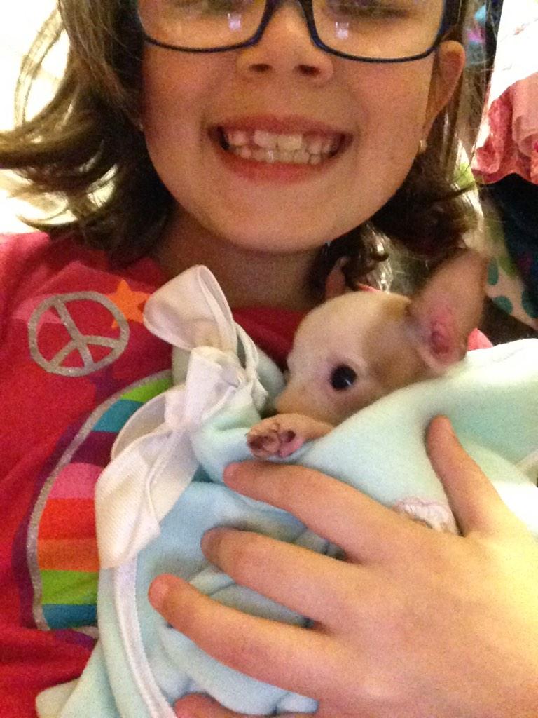 Manning7W's tweet image. This is Mia my new dog