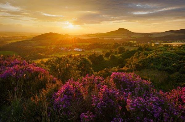 Tom_Ashurst's tweet image. This @northyorkmoors pic by John Robinson, winner of the @VisitBritain Countryside is GREAT competition, is awesome.