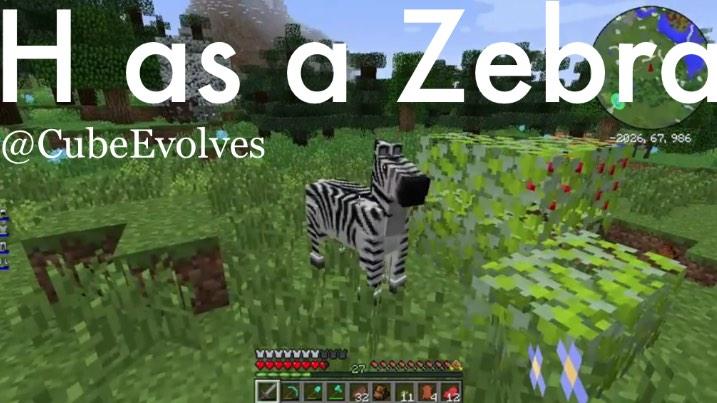 CubeEvolves's tweet image. H as a Zebra.