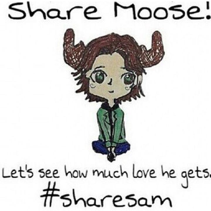 GreenEyedJunkie's tweet photo. #ShareSam http://t.co/Savk3RaDbY