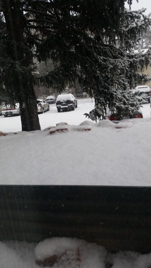 Vicky Antrillo (@vantrillo) on Twitter photo 