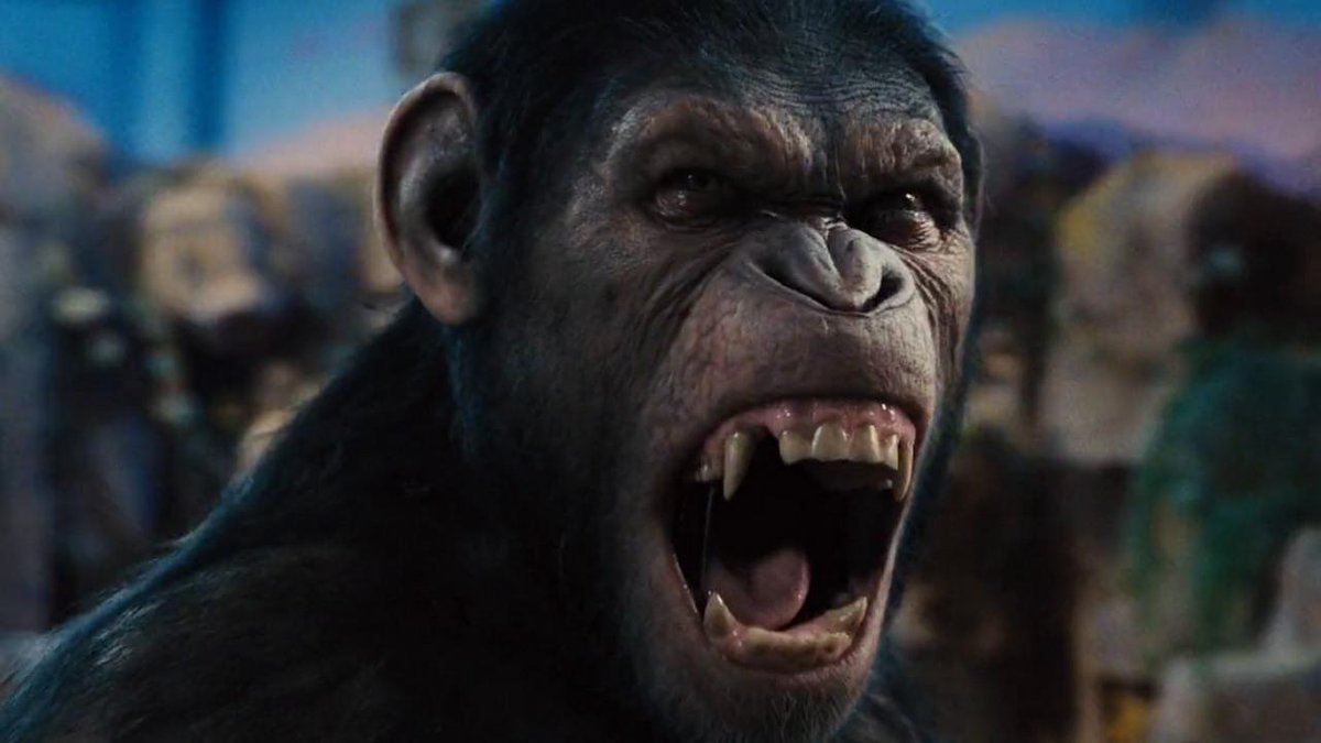 IGN tweet picture