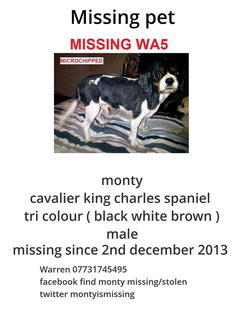 Monty-is-Missing (@montyismissing) on Twitter photo 