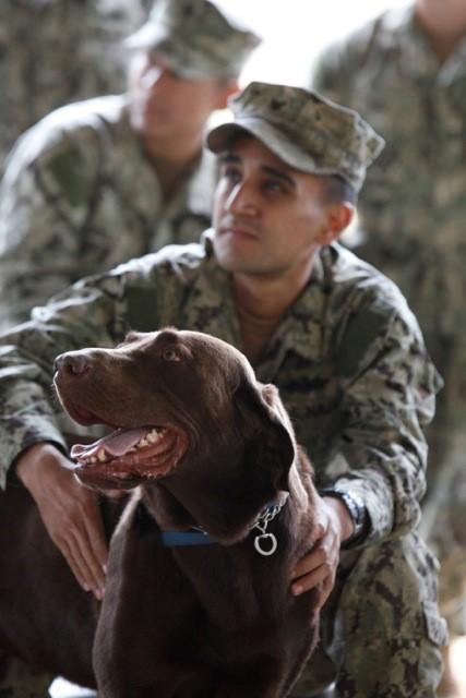 searchdogfdn's tweet photo. Happy #VeteransDay! Thank you so much to the men, women &amp; canines who have served in our military. #ThankYouVeterans http://t.co/0LIPaACFe8