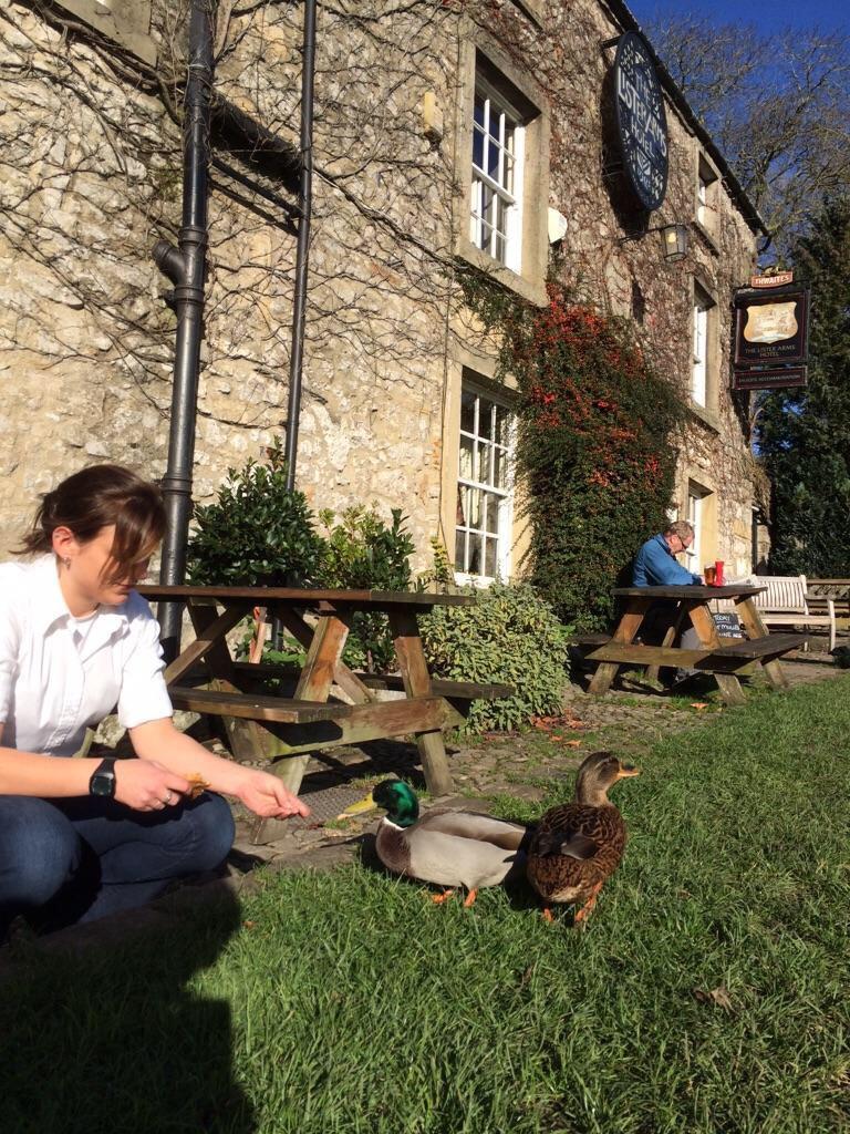 TheListerArms's tweet image. Our team love feeding the ducks every #PerfectSunday come help us if your in the village #skiptonhour #SettleHour