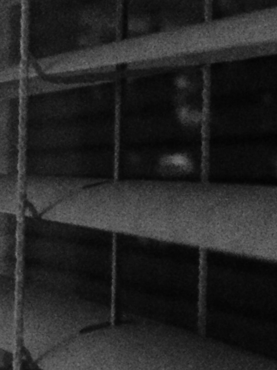 WrallyD's tweet photo. http://t.co/bdXSvZsB7F