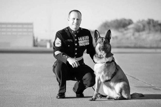 BuzzFeed's tweet photo. It’s Time To Honor Lucca, The Fuzziest Veteran You’ll See Today
http://t.co/m5MHILkjGo http://t.co/oim8YGiaTR