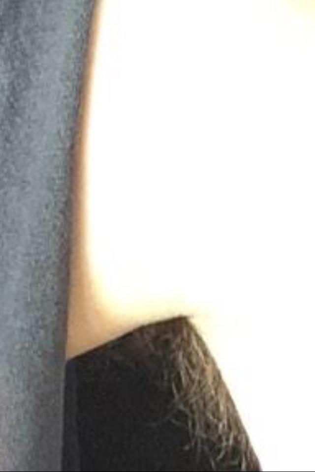 missmemichael's tweet photo. @Ashton5SOS no but seriously are you growing a pet gorilla under there #5sosinphoenix http://t.co/mmdfasQEcE