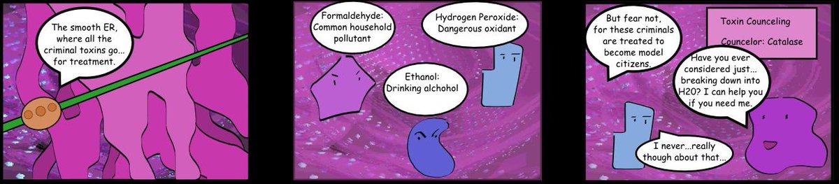 sernellyy's tweet photo. #VoteSER cuz not only is SER detoxifying drugs but SER is also treating those who've used drugs #OrganelleVote2014 http://t.co/1x7jIT1dZU