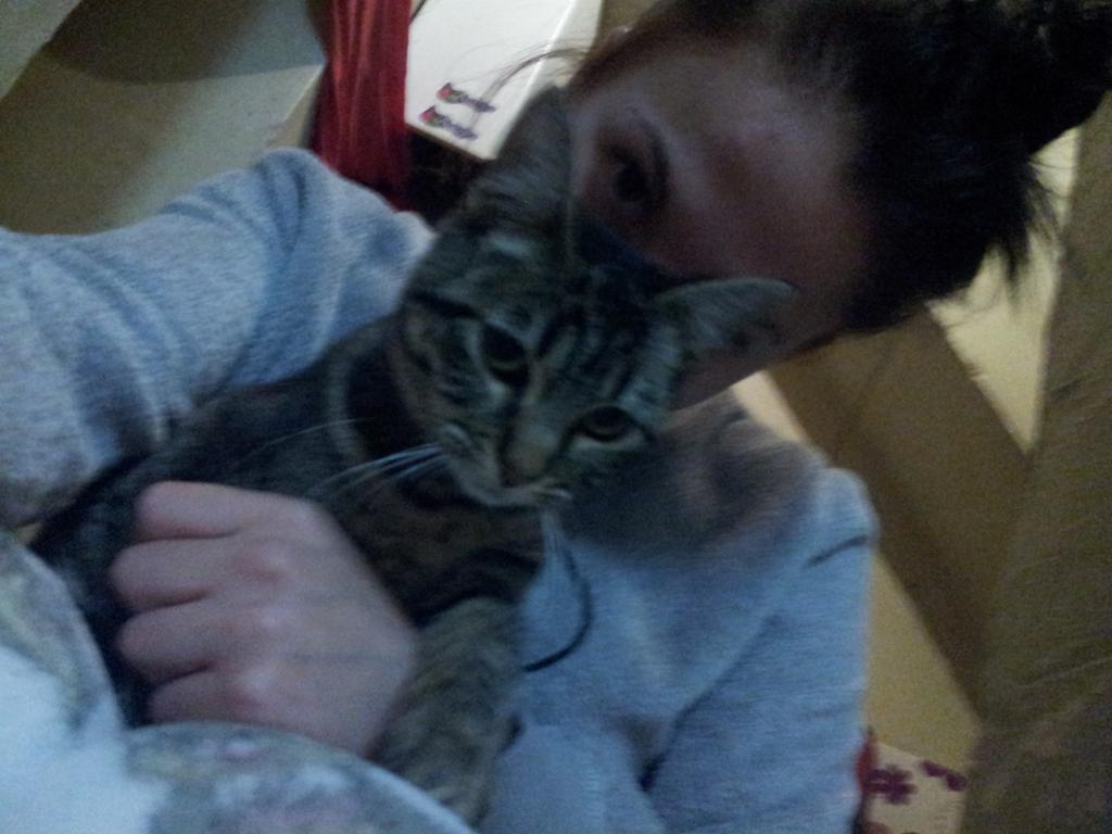 Mariia_MF's tweet photo. Mi 🐱 y yo os damos las buenas nocheeees! ....MUUUUUUUUAKS....
😍😍😍😘 http://t.co/7ClnlhHaAg