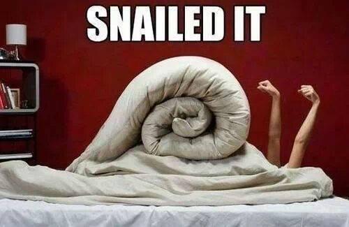 E_Hof's tweet photo. “@ExcuseThePun: http://t.co/IYK8FVrIZH” @battylaura