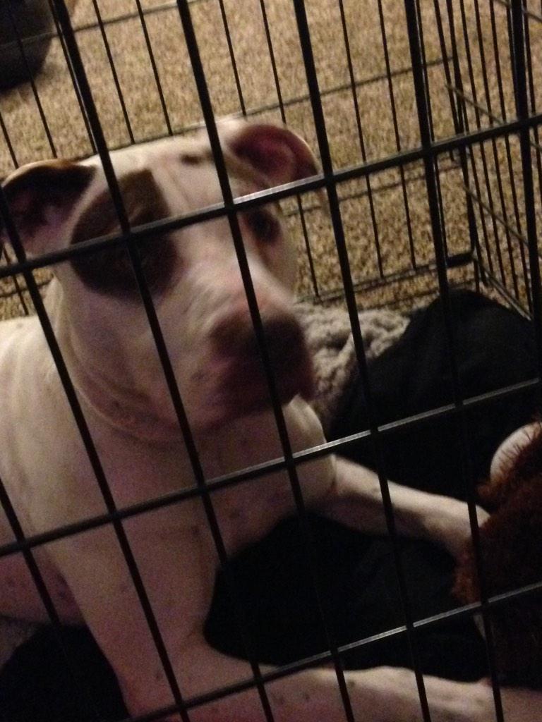 Manning7W's tweet image. We gave her away